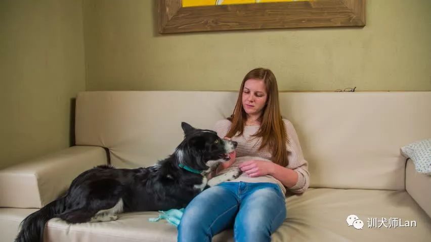 有人进门的时候，狗狗总是发出吠叫怎么办？