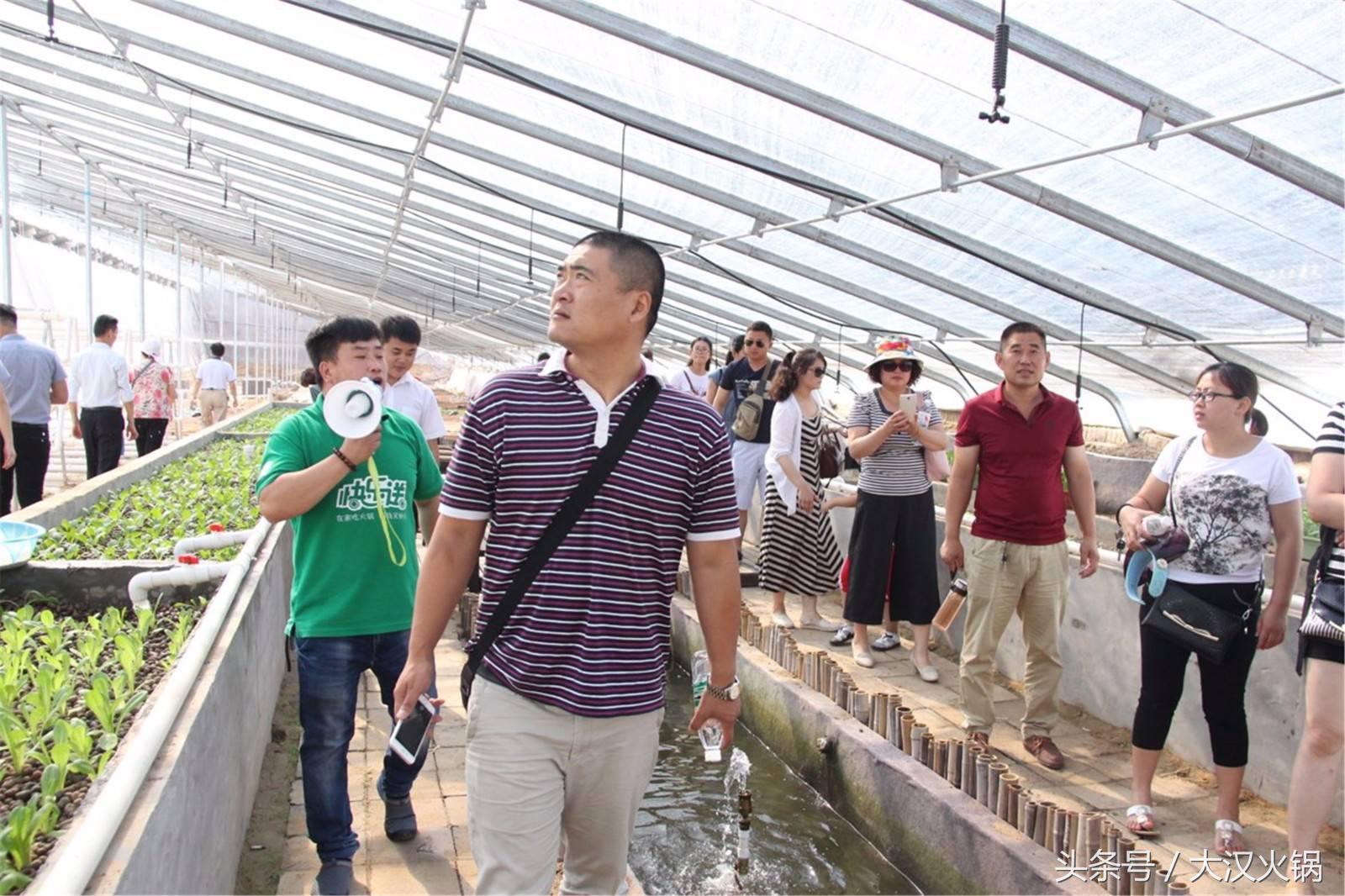 大汉火锅成都,大汉火锅中兴路