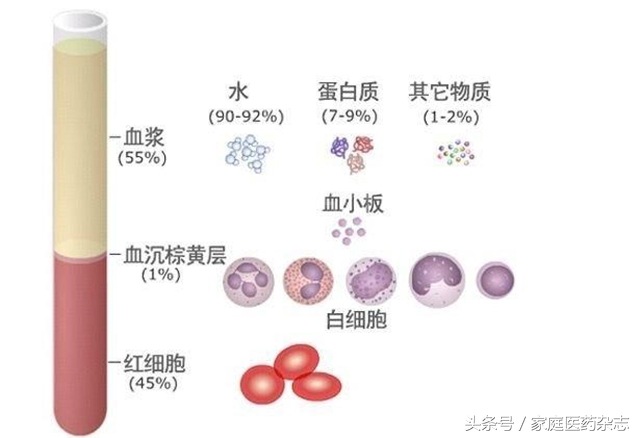 怎么清除血液中的脂肪,血液里面的脂肪要吃什么处理