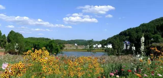 金堂鲜花山谷风景区门票多少钱,鲜花山谷金堂