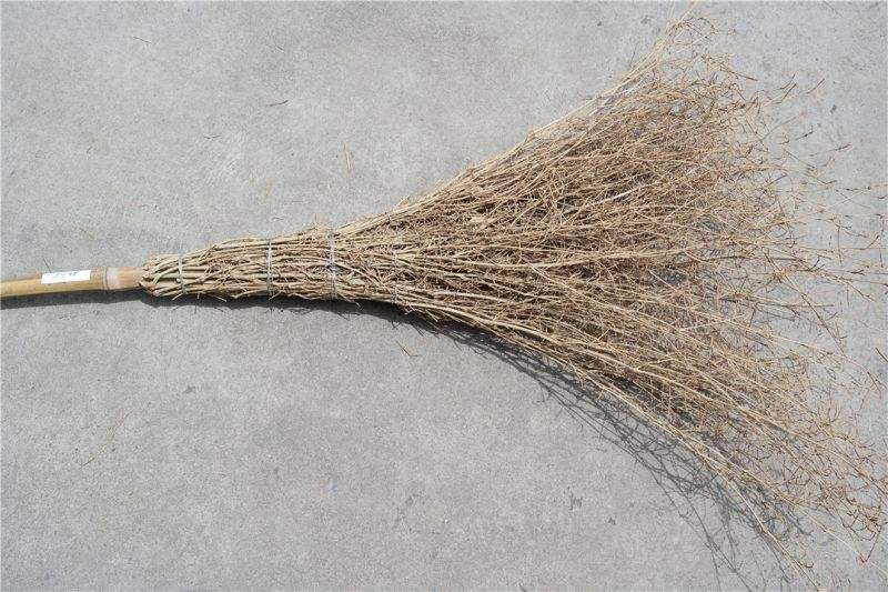 童年抓虾摸鱼趣事,童年抓鱼挖泥鳅