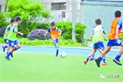 江岸区厉害的小学,江岸区堤角小学