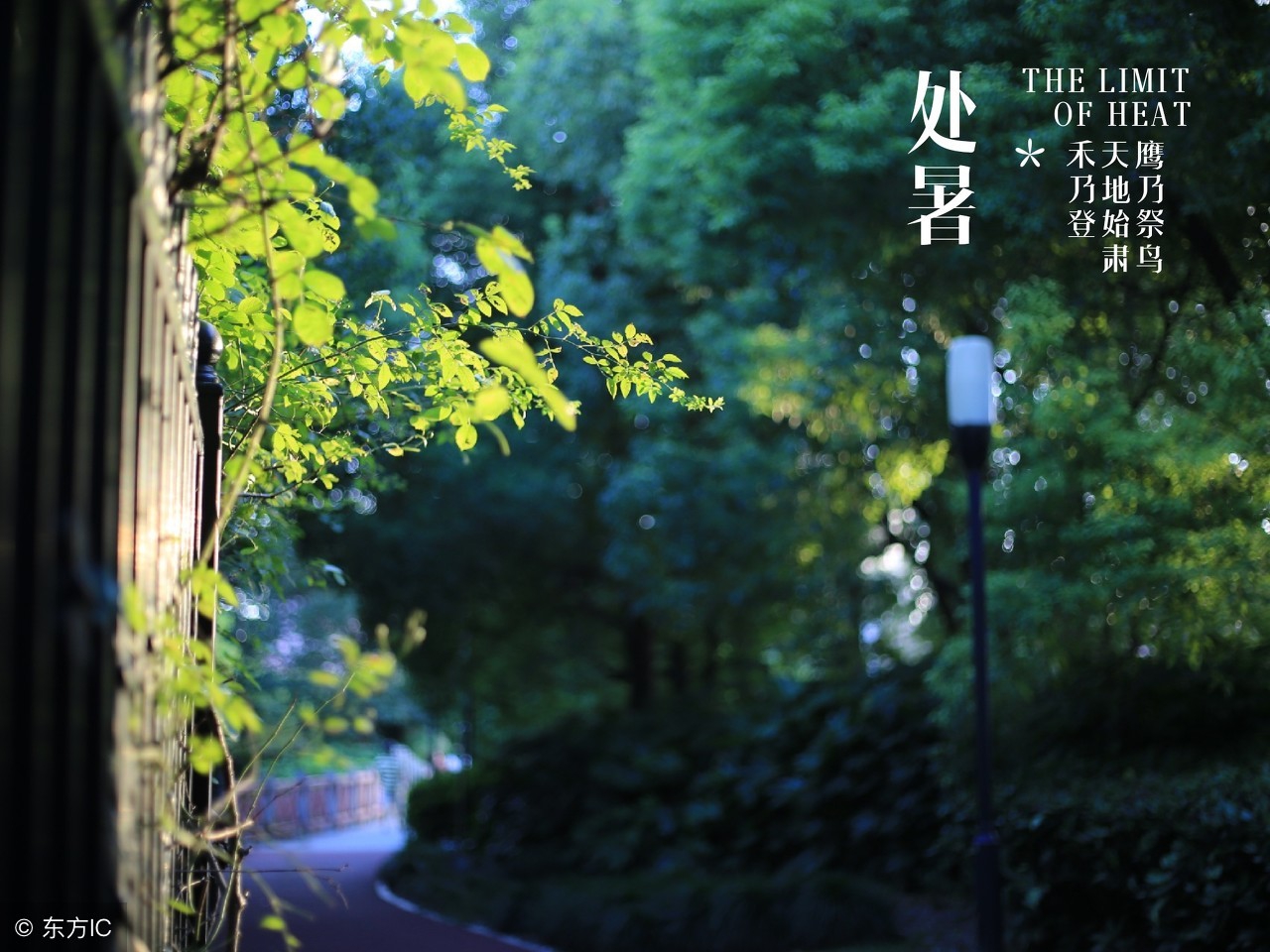 冬奥开幕式二十四节气英语,奥运会二十四节气英语对照表