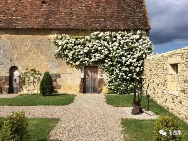 抑郁症疗愈花园,抑郁情绪疗愈法