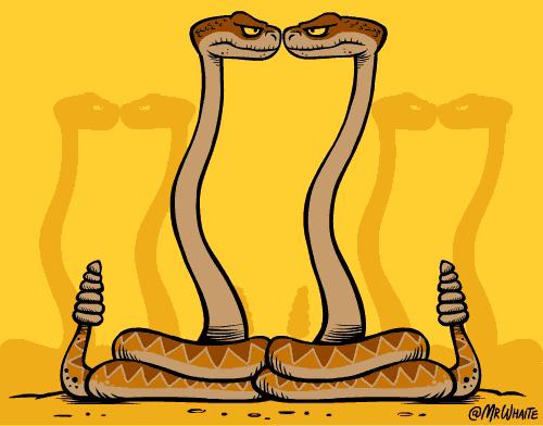 GIF呆萌动物冷知识，知道5个以上算你厉害！