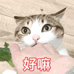 皮肤干燥脱妆的小妙招,夏天出油脱妆用什么产品