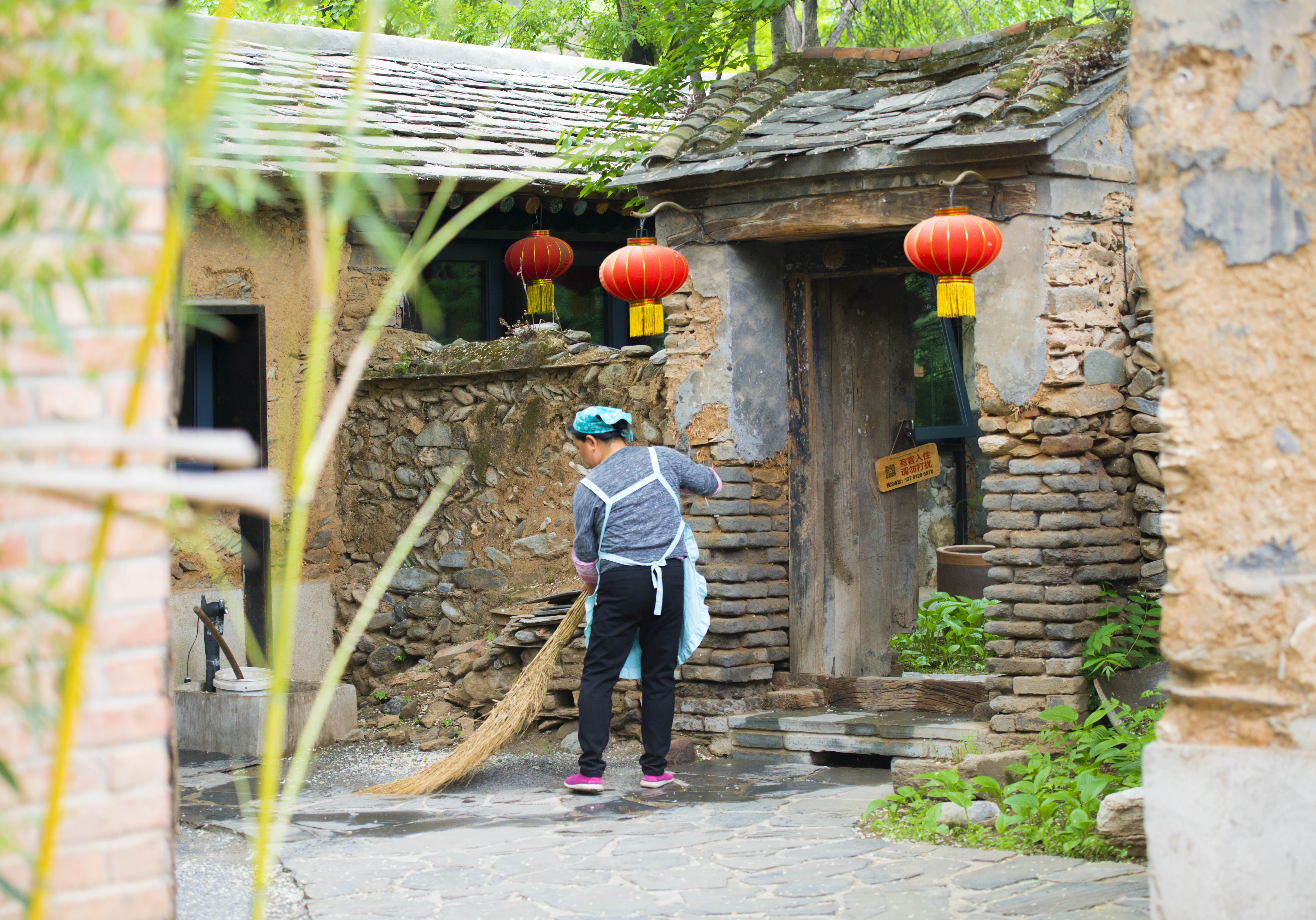 摘一簇黄栌花，把浪漫带回姥姥家，但它柔软的花身却让人不舍碰它