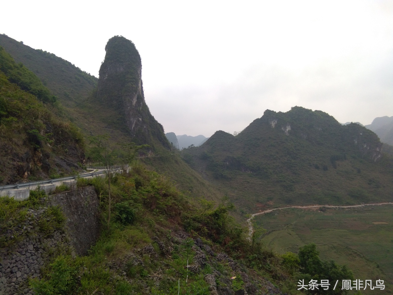 广西凤山大石山里有一对苦命鸳鸯，不看不知道，看了吓一跳