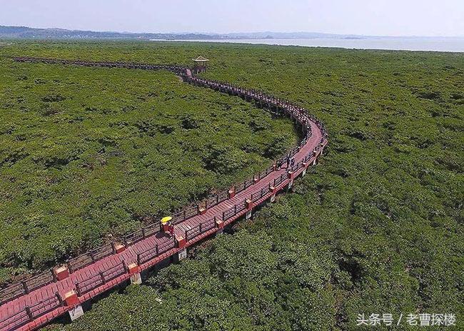 错过了海南，难道你还要再错过防城港？