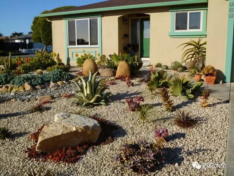 老外私家花园景观,国外多肉花园