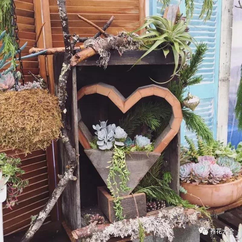 老外私家花园景观,国外多肉花园