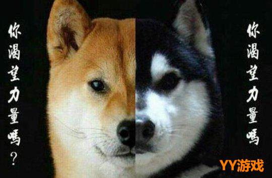 当被男友打扰玩游戏怎么办？女司机亲授妙招，刷新世界观！