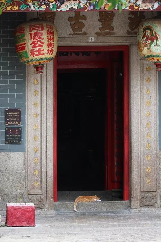 香港仔避风塘的介绍,香港仔避风塘图片