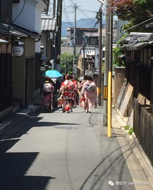 京都大阪奈良旅游游记,暴走大阪京都