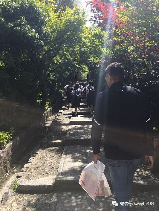 京都大阪奈良旅游游记,暴走大阪京都