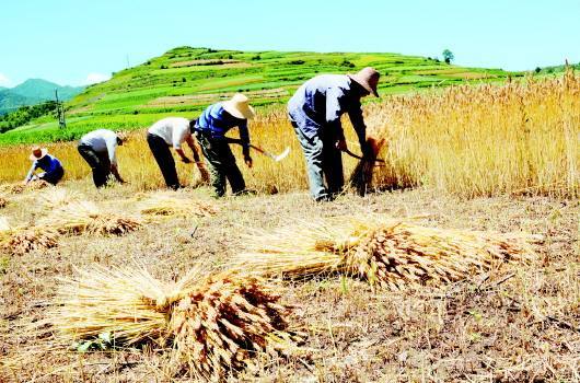 没有点用户基础这三款收割机怎么敢“称霸”4月榜单？