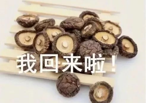 冒菜火锅麻辣烫钵钵鸡有什么区别,串串麻辣烫冷锅串串钵钵鸡