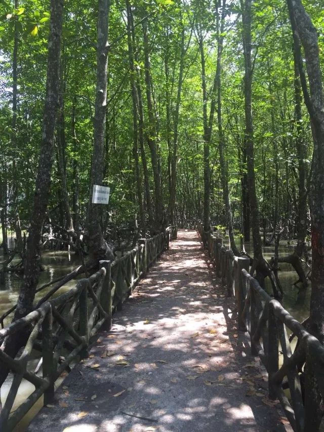 甲米亲子游全攻略,普吉曼谷亲子游