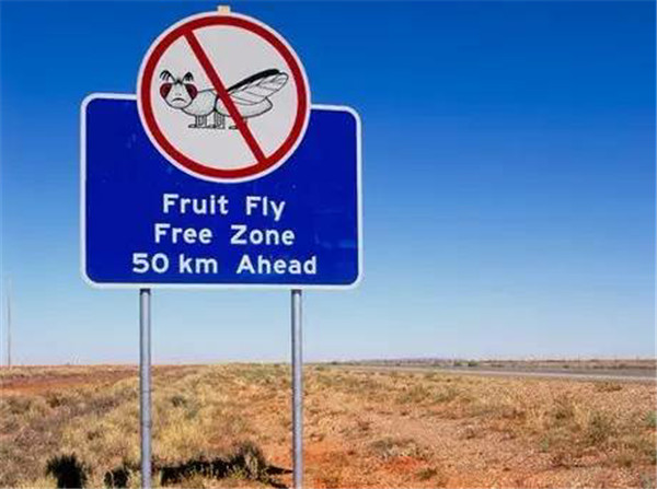 婢冲ぇ鍒╀簹鑻嶈潎鏈夊鍘夊,婢虫床鑻嶈潎鏈夊鍘夊