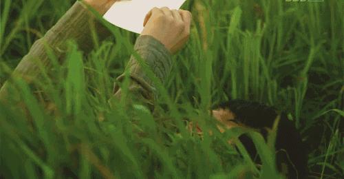 朱光潜：烦恼太多，是因为做得太少