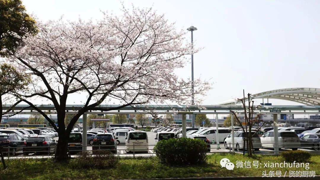 去日本自由行攻略大阪,想去日本玩所有流程