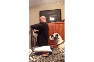 爸妈被忽悠去领养一只小狗，回来后邻居表示：这马真漂亮啊！