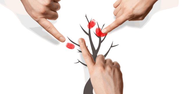 蚊子叮咬的危害科普视频,蚊子警示语