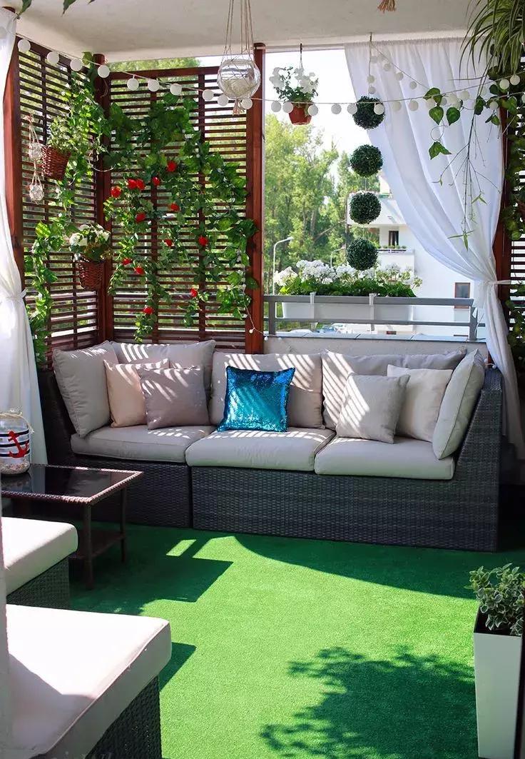 墙上种什么植物最好,景观墙上盆栽什么好看