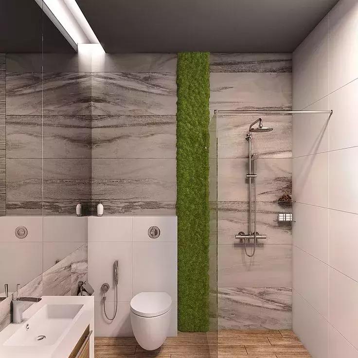 墙上种什么植物最好,景观墙上盆栽什么好看