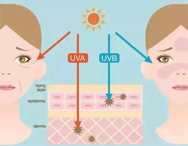 石原里美裸妆教程,石原里美的瘦脸技巧