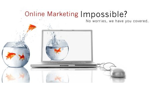 开宠物店如何推广赚钱快,宠物店商业模式营销技巧