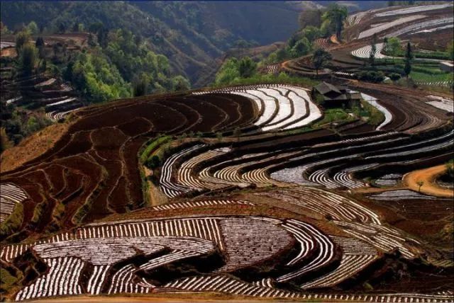 攀枝花市周边清凉避暑去哪里最好,夏季攀枝花旅游景点打卡推荐