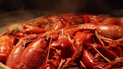 龙虾吃法剥法,澳洲龙虾吃法