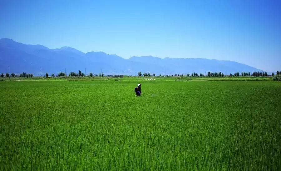 大理每个季节都很美,在大理每天都是那么的美好