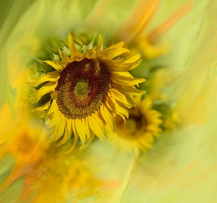 大理每个季节都很美,在大理每天都是那么的美好