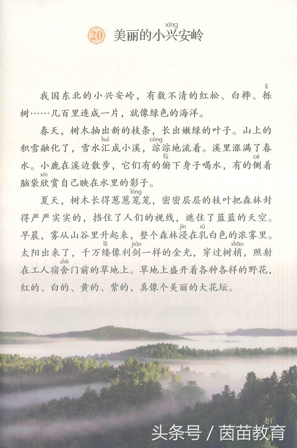 部编新人教版三年级下册语文书,部编版新人教版三年级语文