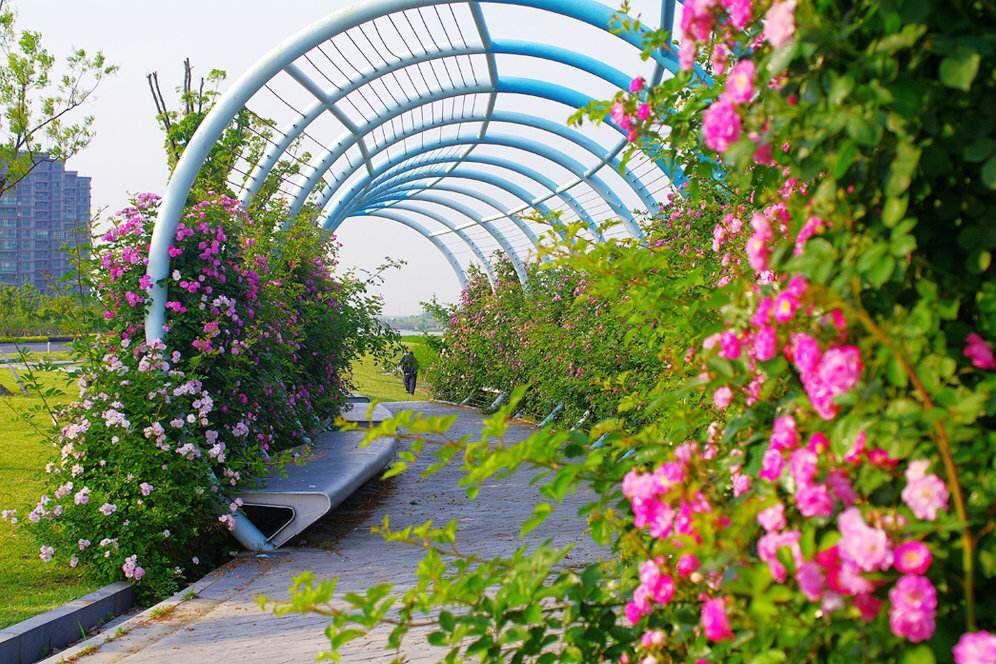 昆山城东迎来爆发增长,昆山未来之城最好的楼盘