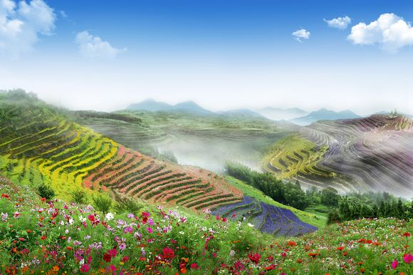 福建儿时的记忆山上的野果,福建山上秋天野果