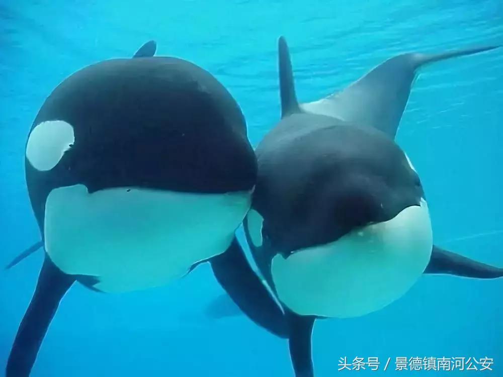 朋友圈里卖低价服装的真相,代购骗局揭秘朋友圈