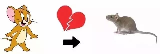 四害消杀温馨提醒,除四害科普小知识