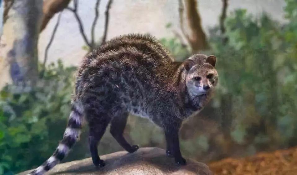 代购骗局揭秘朋友圈,代购背后的骗局