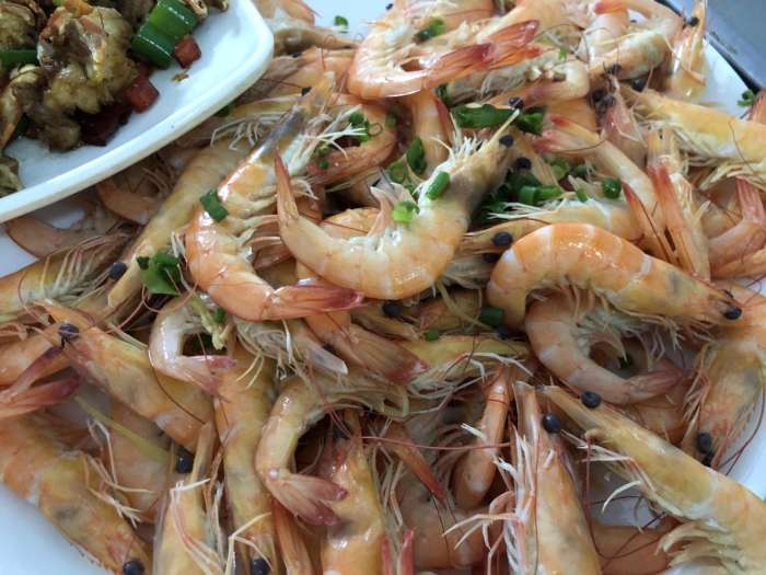 小妮子三亚,小妮子海南三亚