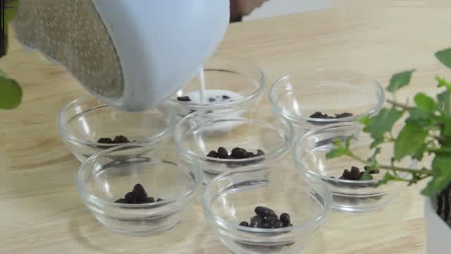 钵仔糕怎样才能看起来晶莹剔透,教你做钵仔糕