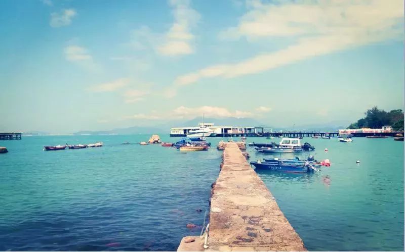 郑州高铁到香港需要提前多久进站,郑州每天一趟动车到香港