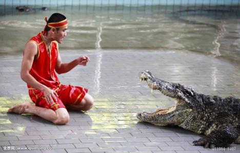 当鳄鱼咬住了一只脚,被鳄鱼咬住怎么让鳄鱼松嘴