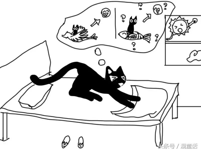 漫画｜混小贝漫游世界：当喵星人乱入水族馆···