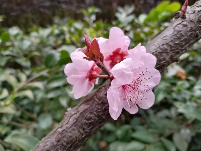 如何把照片拍得更好,你可以拍得更好的英文