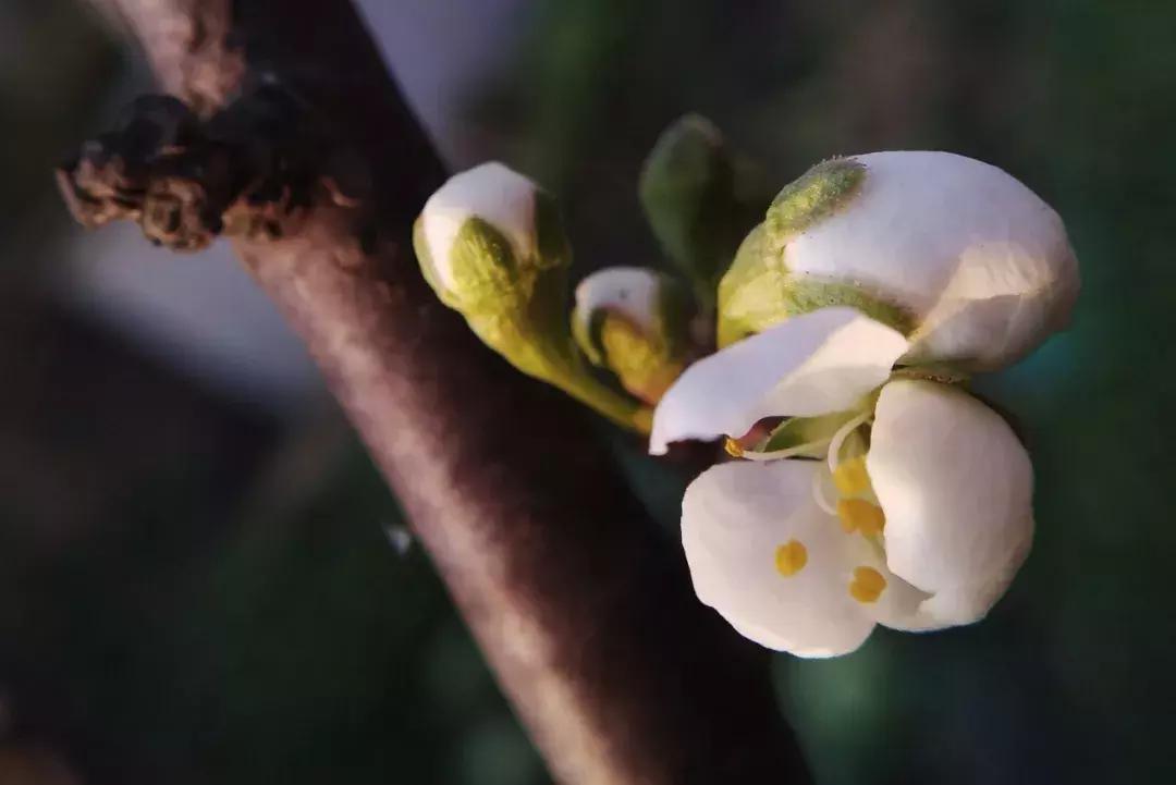 如何把照片拍得更好,你可以拍得更好的英文