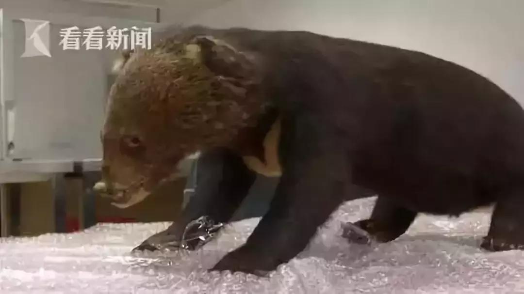 揭露各种海外代购真相,代购骗局朋友圈