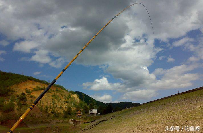 鱼竿越贵越能钓大鱼吗,鱼竿是不是越便宜越重